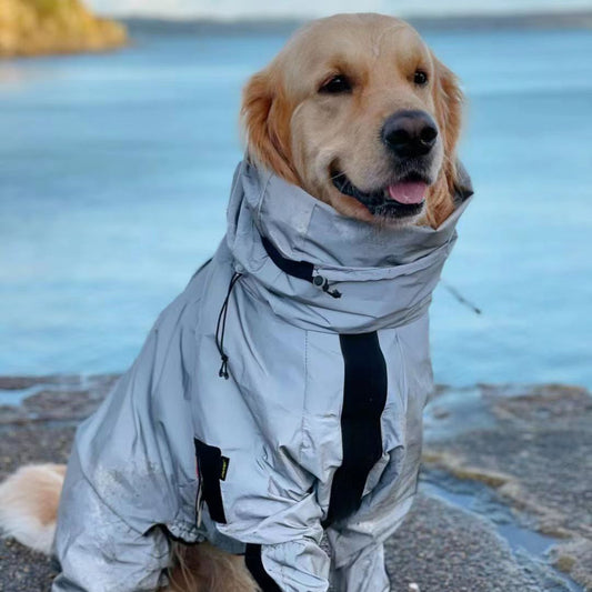 Reflekterande skaljacka för hund – vattentät & tålig