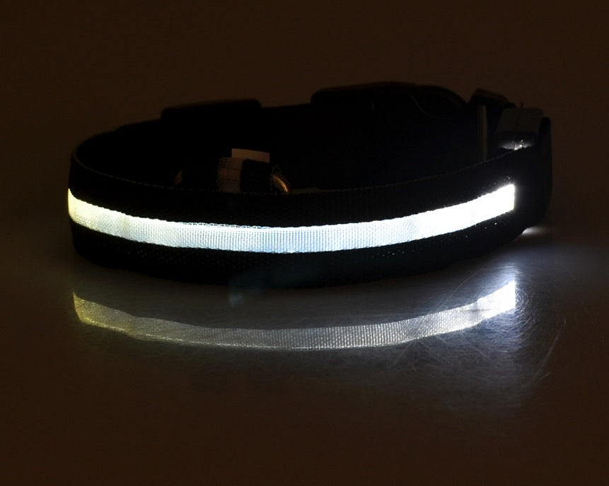 Lysande justerbart LED-halsband för hundar och katter– lysande, blinkande (glow in the dark)