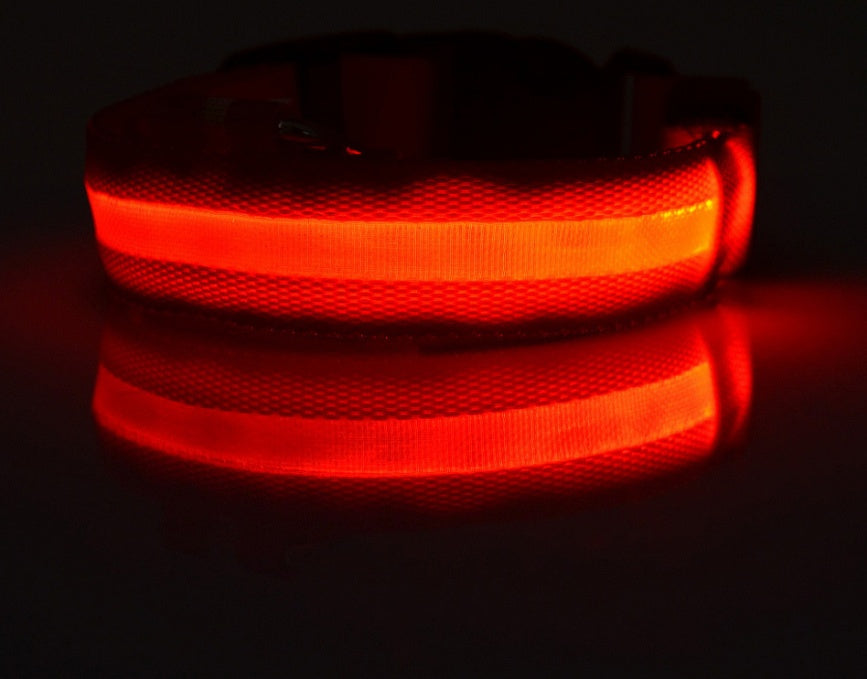 Lysande justerbart LED-halsband för hundar och katter– lysande, blinkande (glow in the dark)