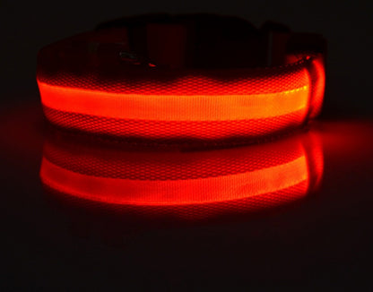 Lysande justerbart LED-halsband för hundar och katter– lysande, blinkande (glow in the dark)