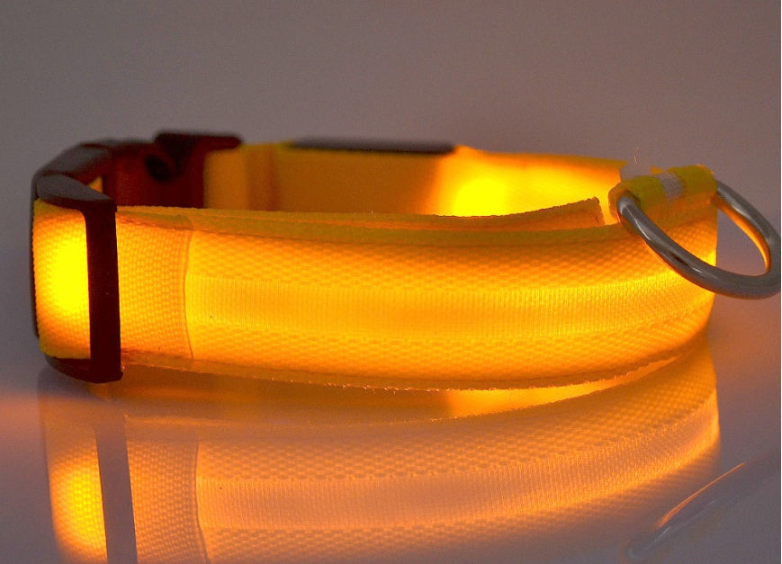 Lysande justerbart LED-halsband för hundar och katter– lysande, blinkande (glow in the dark)