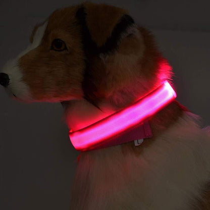 Lysande justerbart LED-halsband för hundar och katter– lysande, blinkande (glow in the dark)