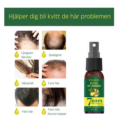 EELHOE Näringsspray med ingefära för främjande av hårväxt