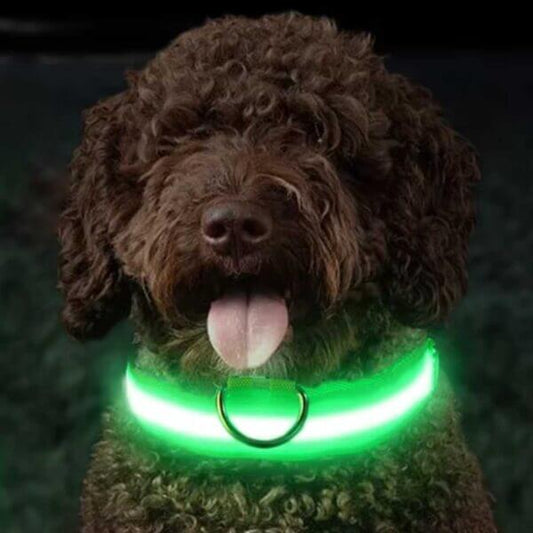Lysande justerbart LED-halsband för hundar och katter– lysande, blinkande (glow in the dark)